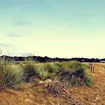 Alla Pergola Отель 3*
